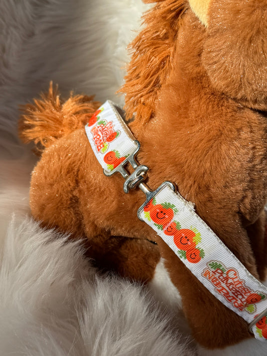 Youth Cutest Pumpkin Adjustable Belt