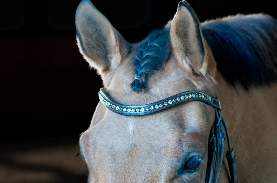 "Autumn Flower" Browband - Black