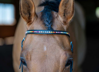 "Rainbow Chain" Browband - Black