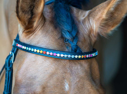 "Rainbow Chain" Browband - Black