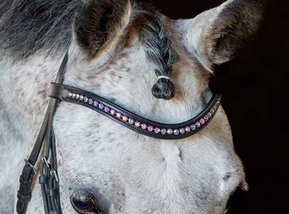 "Winter Flower" Browband - Black