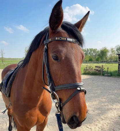 “Savanna” Beaded Browband - Dark Chocolate Brown